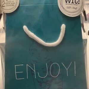 wt-1012-27 Gift Bag Cat