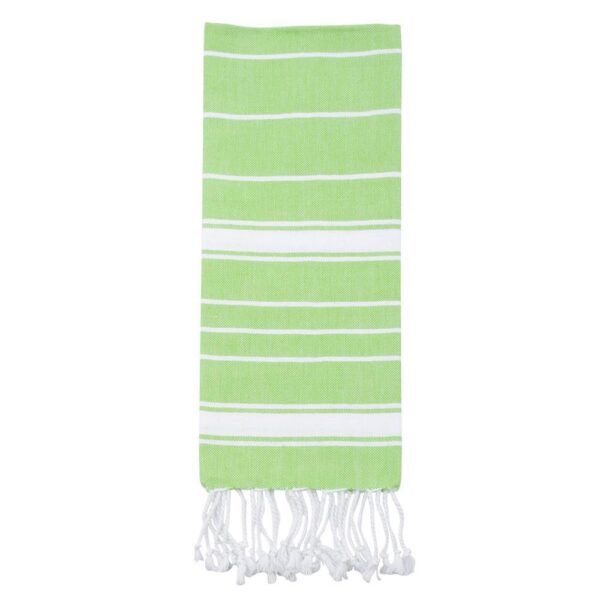 hsfg2838 Green Stripe Fringe Dish Towel